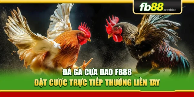 Đá Gà Cựa Dao FB88 – Đặt Cược Trực Tiếp Thưởng Liền Tay