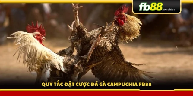 Các quy định khi đặt cược đá gà Campuchia tại FB88